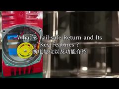 Explosiebestendige elektrische actuator IP68 CSA Power-off Reset Modbus